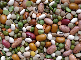 Beans
