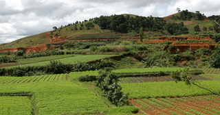 Land