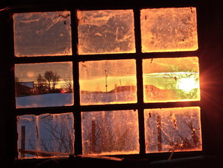 Westerly windows facing trees